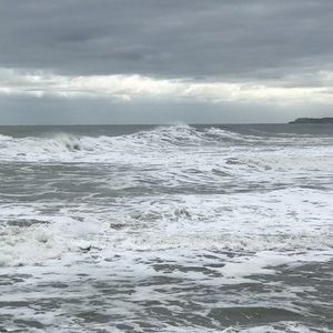 Meet your Posher, Hayley